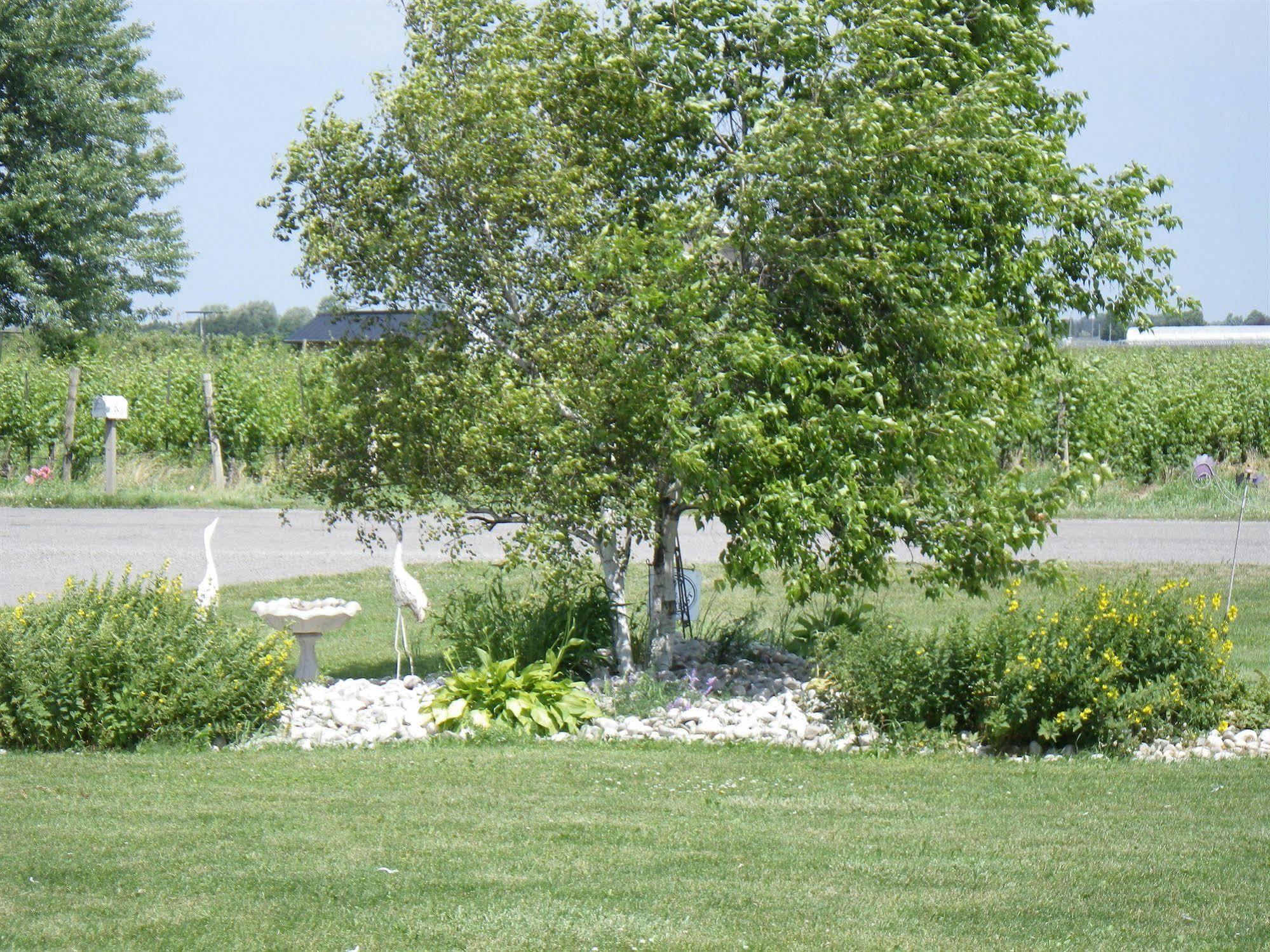 A Vineyard View Bed And Breakfast Niagara-on-the-Lake Exterior foto