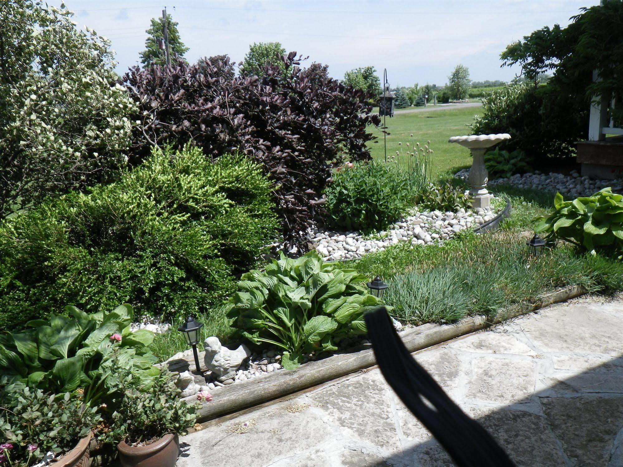 A Vineyard View Bed And Breakfast Niagara-on-the-Lake Exterior foto